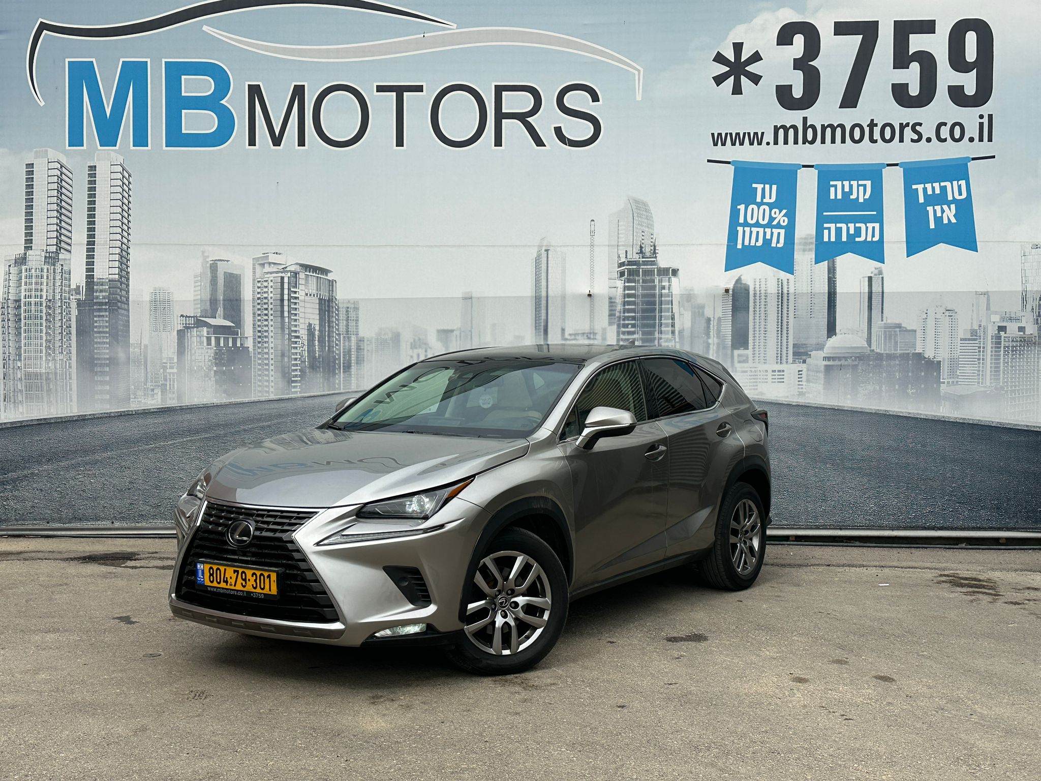 WhatsApp Image 2026-02-17 at 11.52.43 (1)